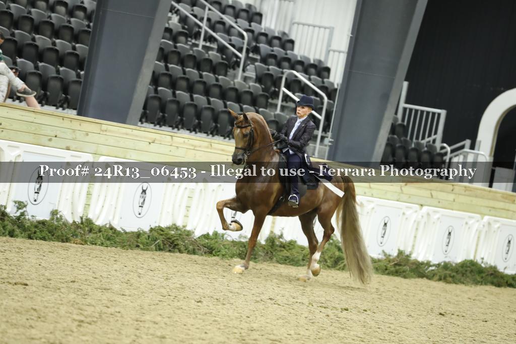 Proof Number 24R13_06453