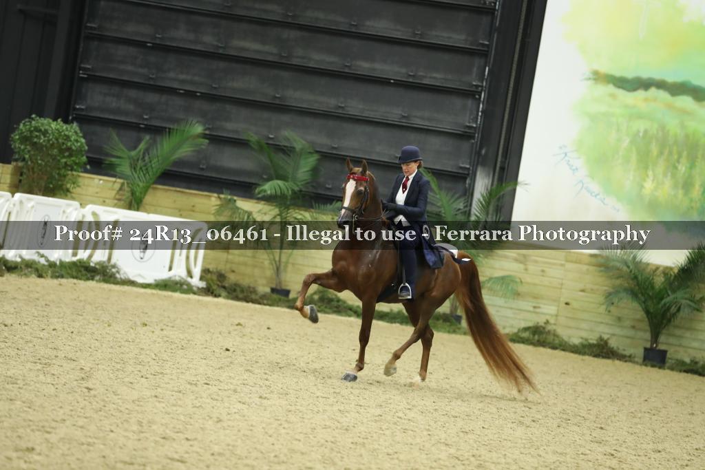 Proof Number 24R13_06461