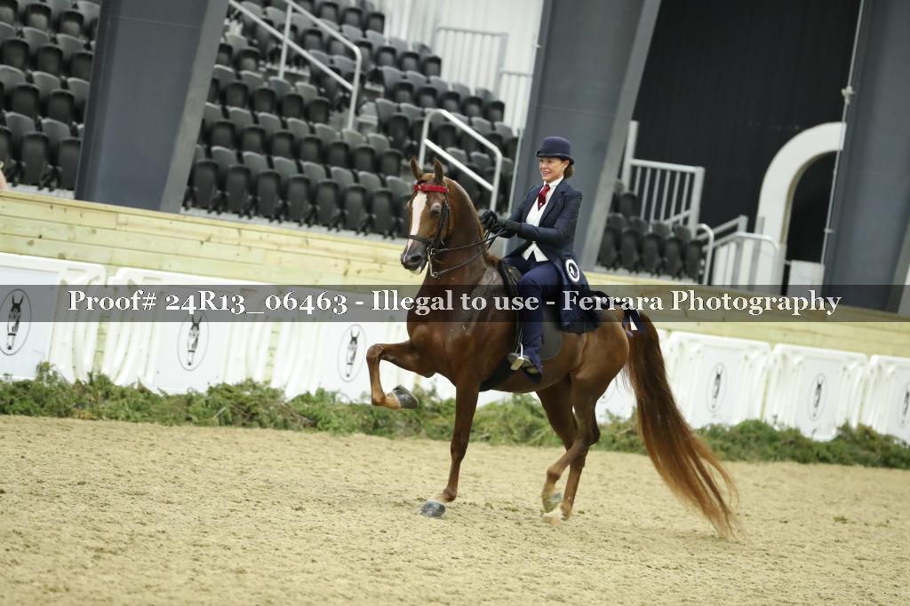 Proof Number 24R13_06463