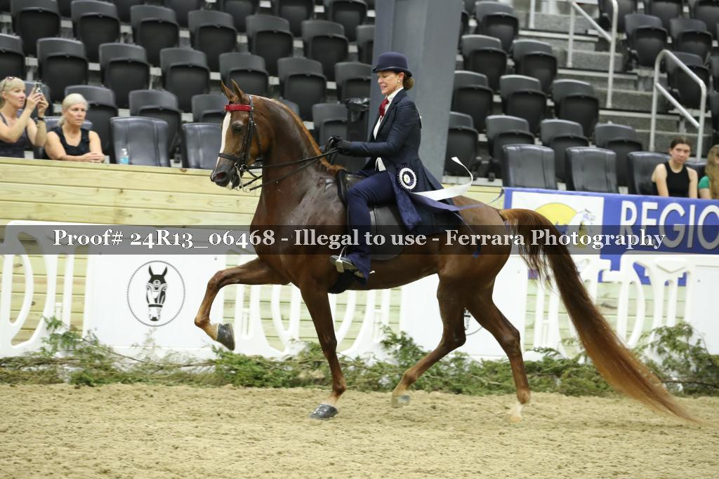 Proof Number 24R13_06468