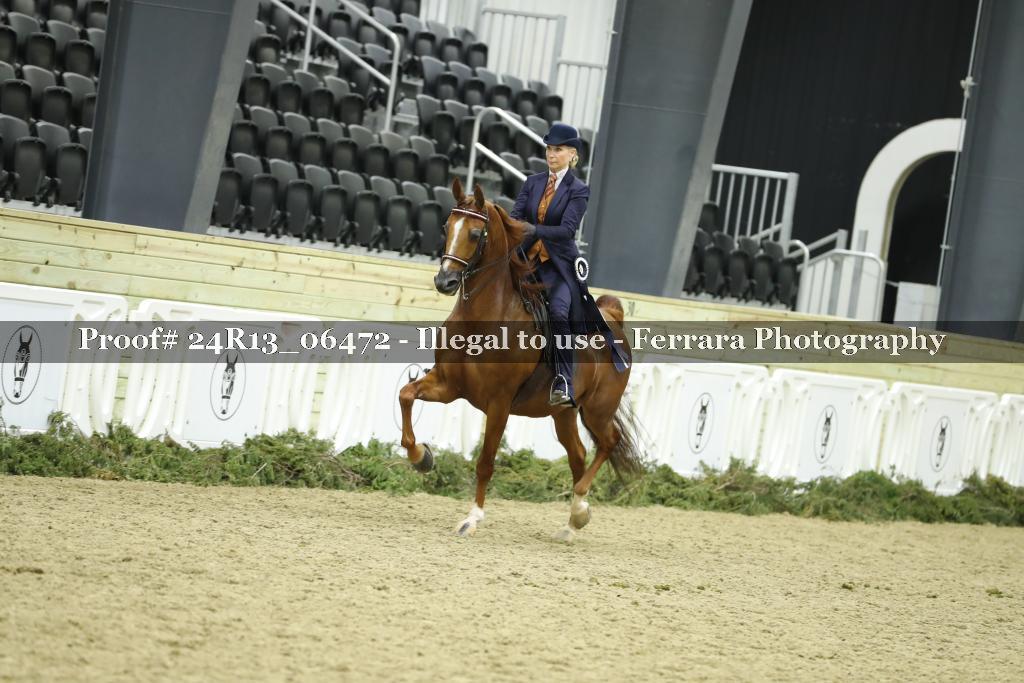 Proof Number 24R13_06472