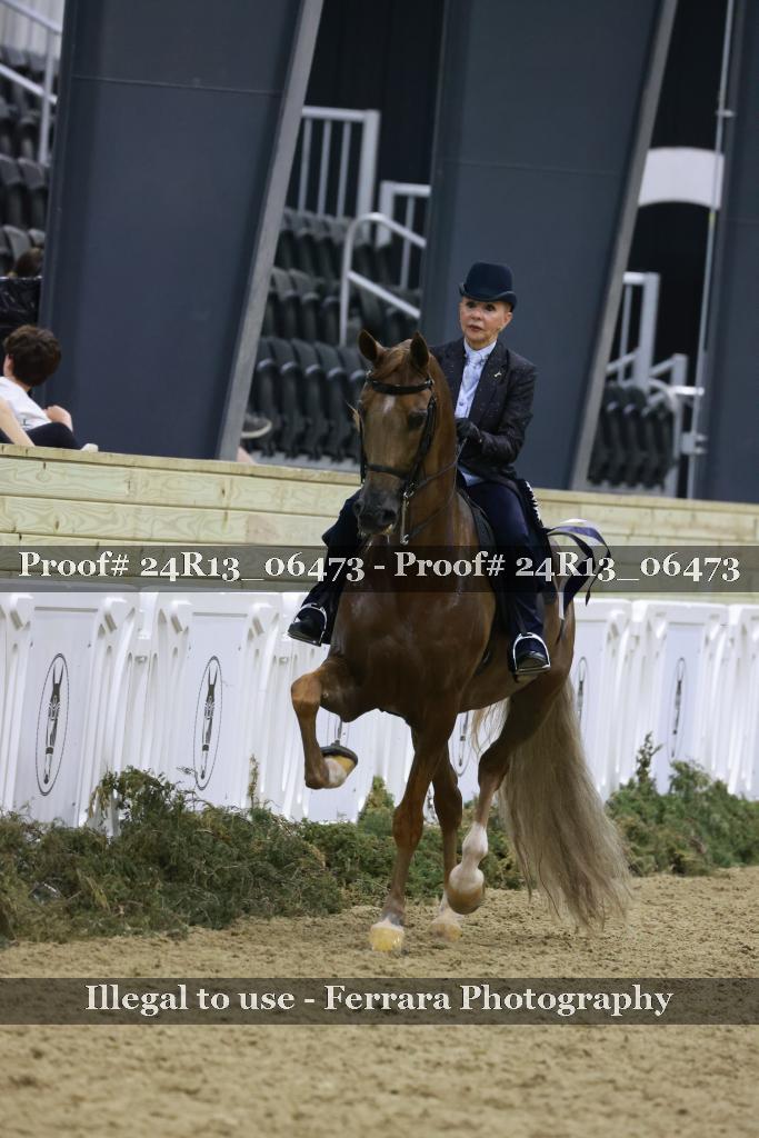 Proof Number 24R13_06473