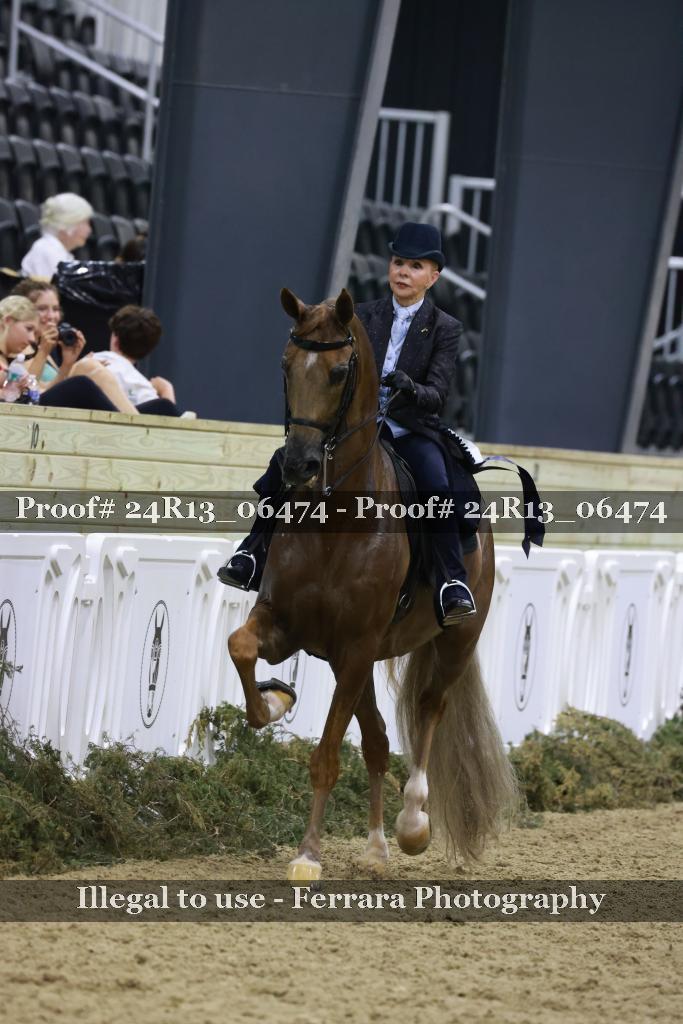 Proof Number 24R13_06474