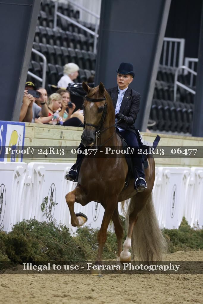 Proof Number 24R13_06477