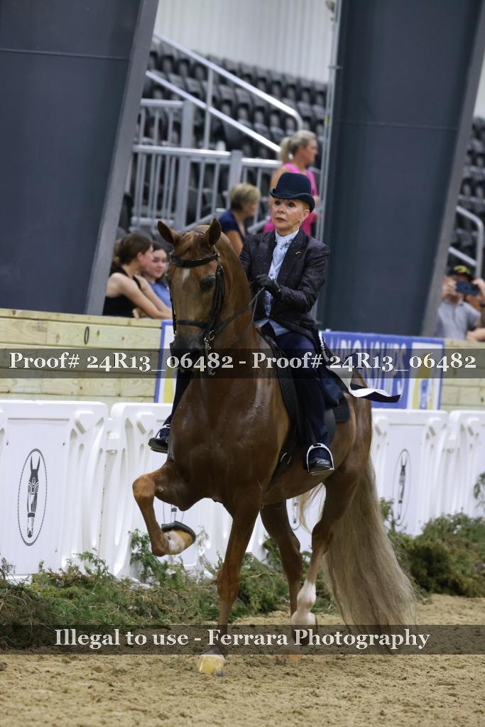 Proof Number 24R13_06482
