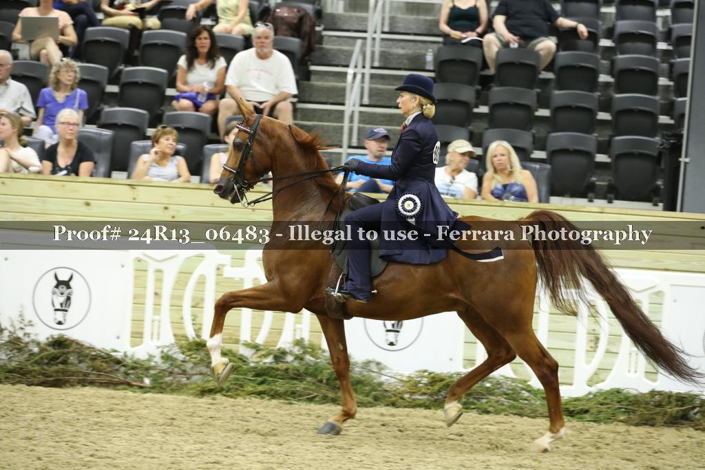 Proof Number 24R13_06483