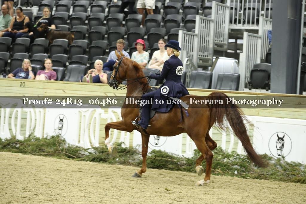 Proof Number 24R13_06486