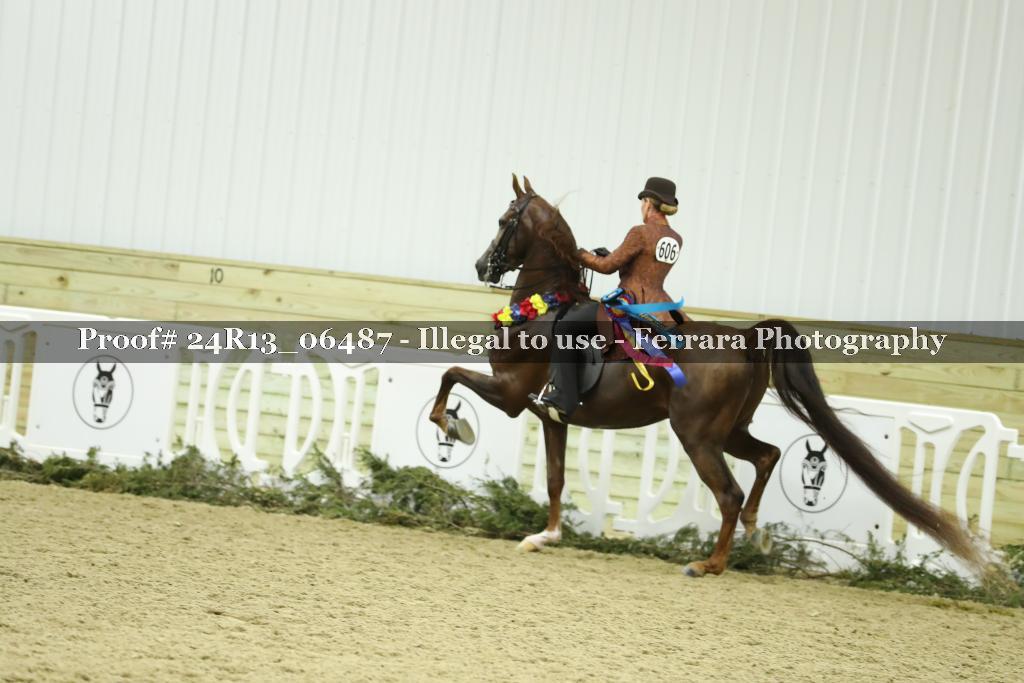 Proof Number 24R13_06487