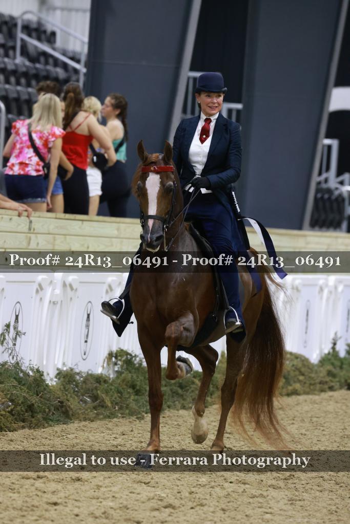 Proof Number 24R13_06491