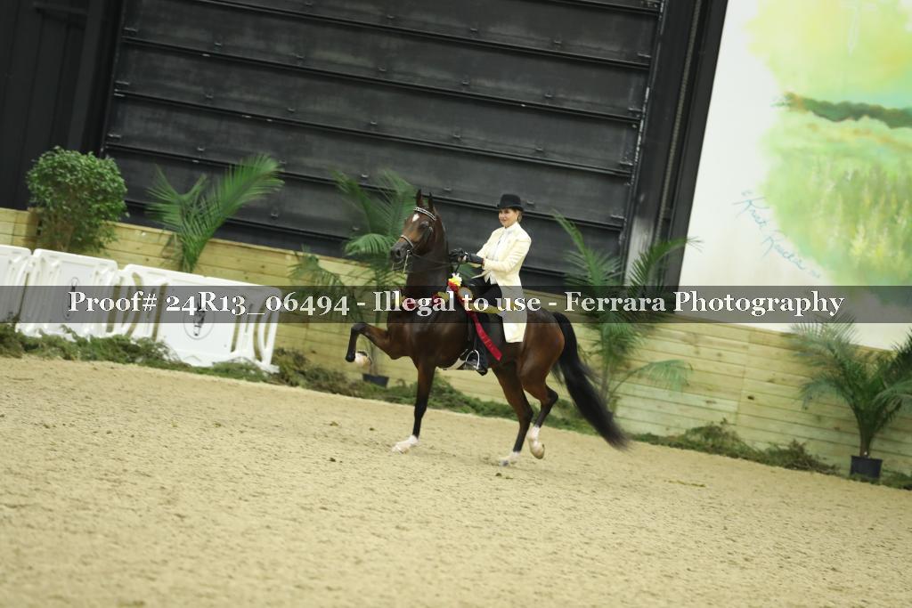 Proof Number 24R13_06494