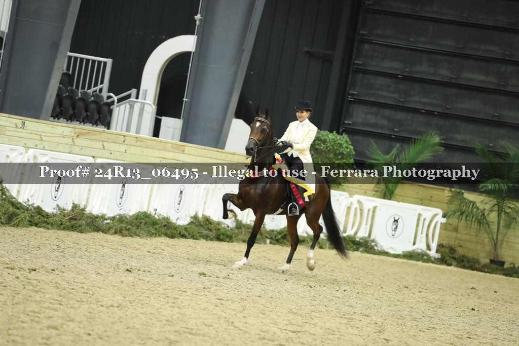 Proof Number 24R13_06495