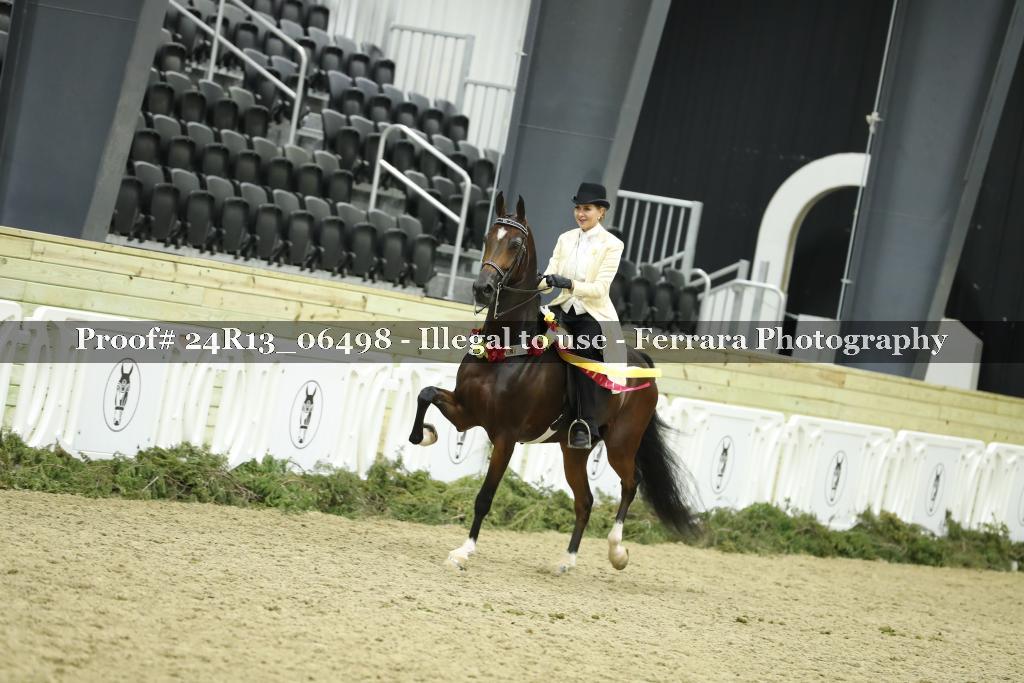 Proof Number 24R13_06498