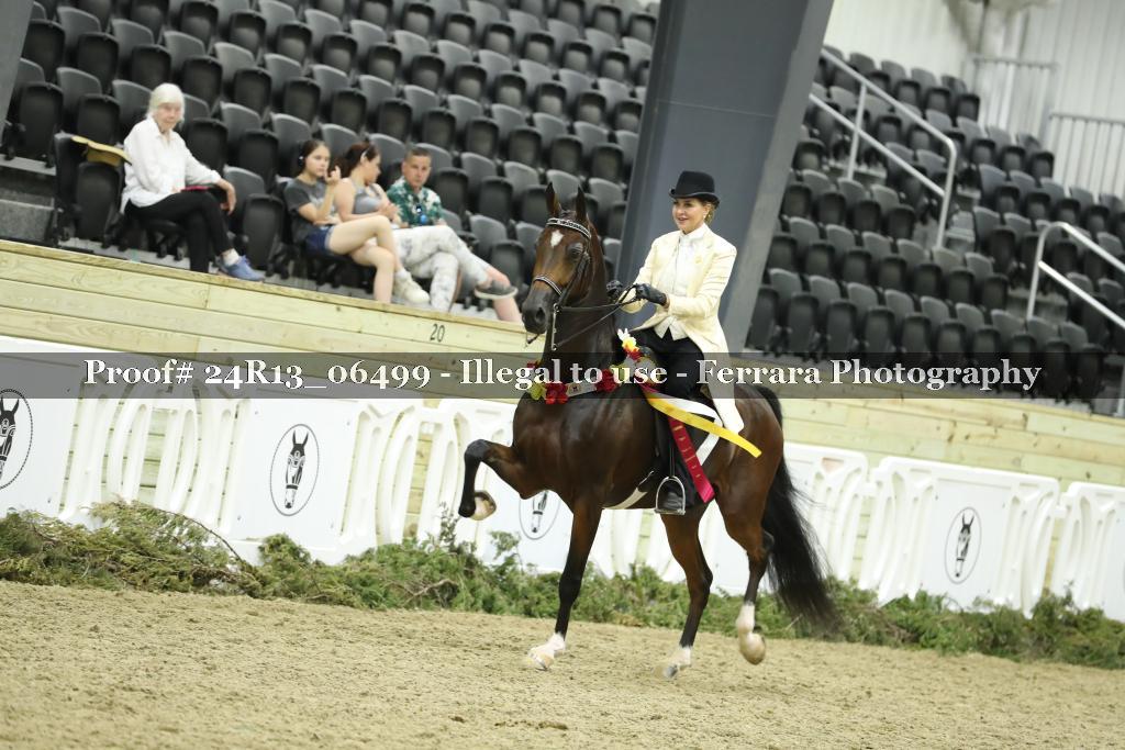 Proof Number 24R13_06499