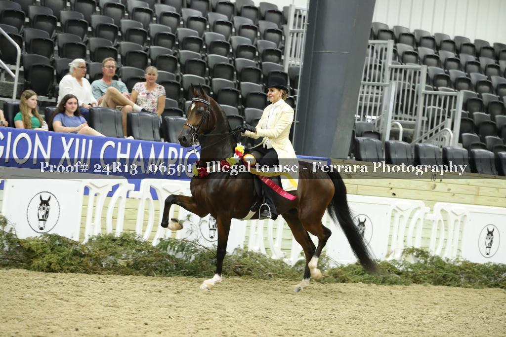 Proof Number 24R13_06501