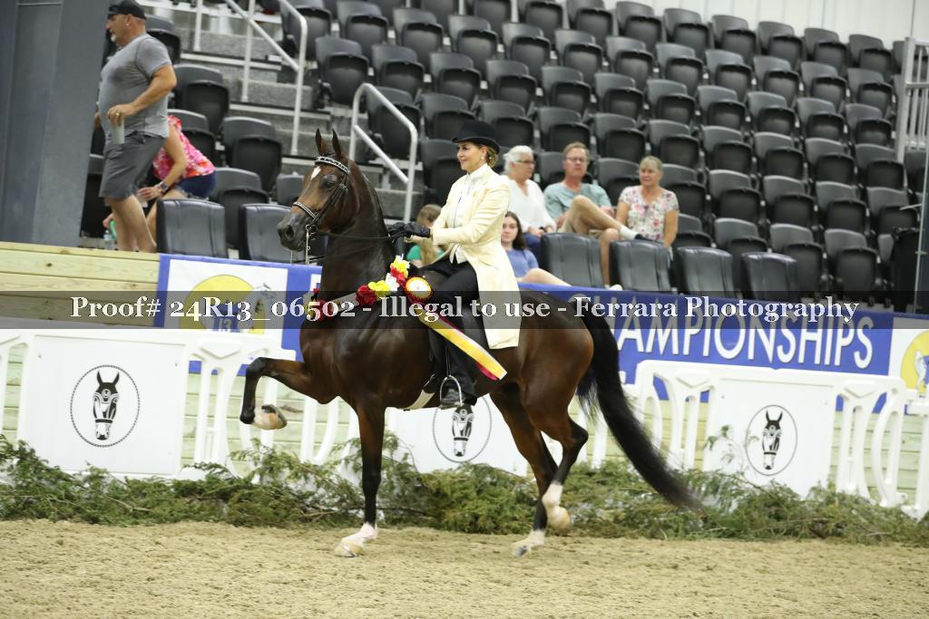 Proof Number 24R13_06502