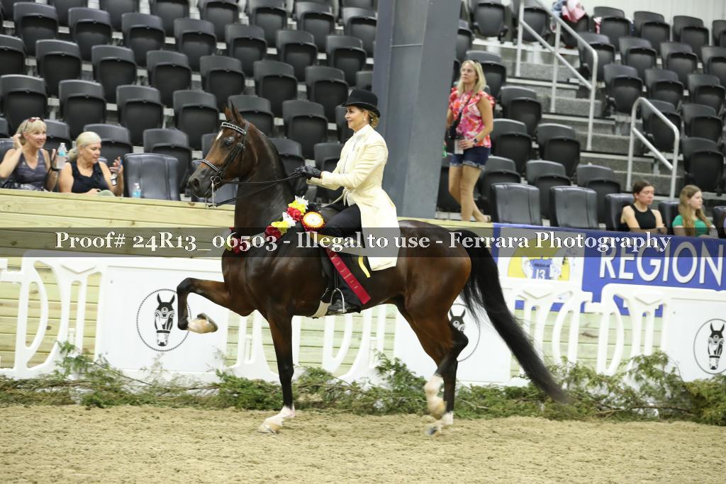 Proof Number 24R13_06503