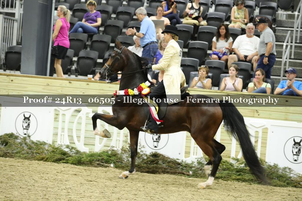 Proof Number 24R13_06505