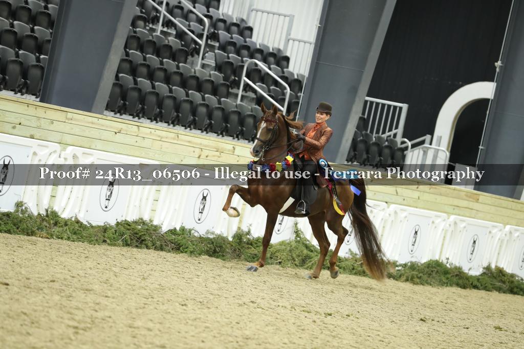 Proof Number 24R13_06506