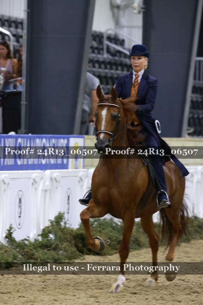 Proof Number 24R13_06507