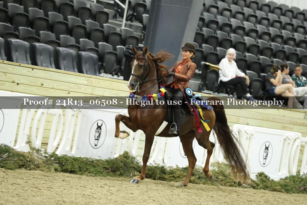 Proof Number 24R13_06508
