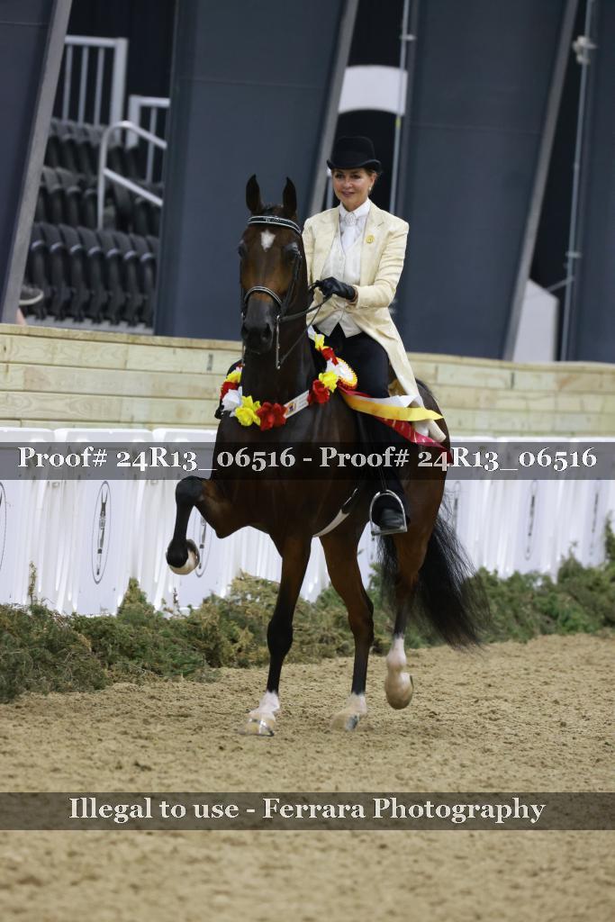 Proof Number 24R13_06516