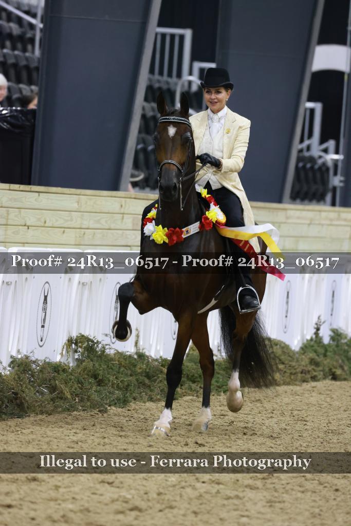 Proof Number 24R13_06517