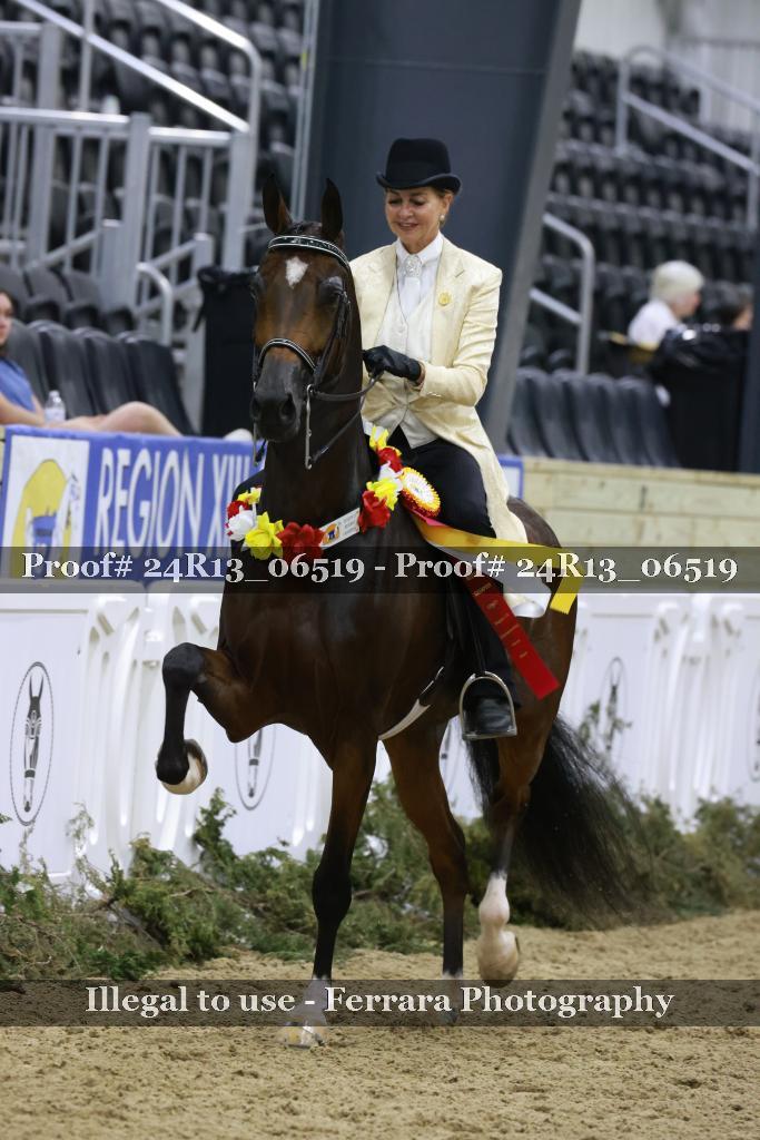 Proof Number 24R13_06519