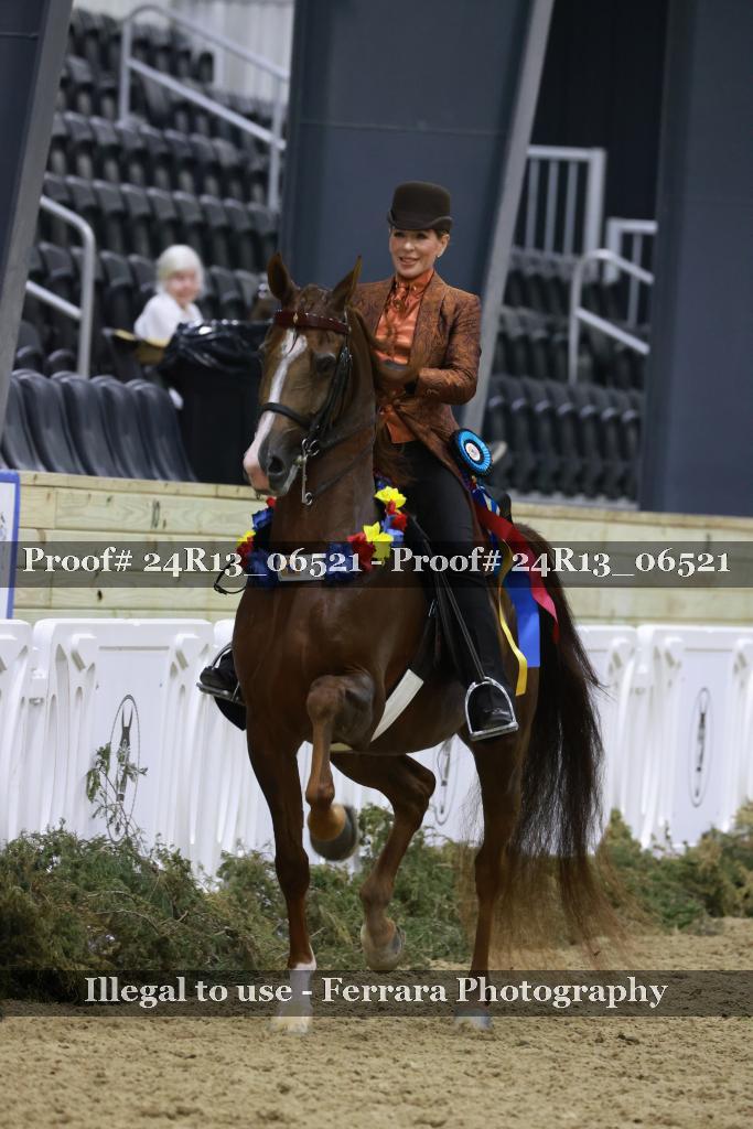 Proof Number 24R13_06521