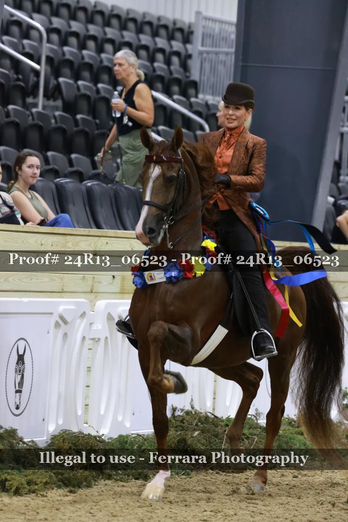 Proof Number 24R13_06523