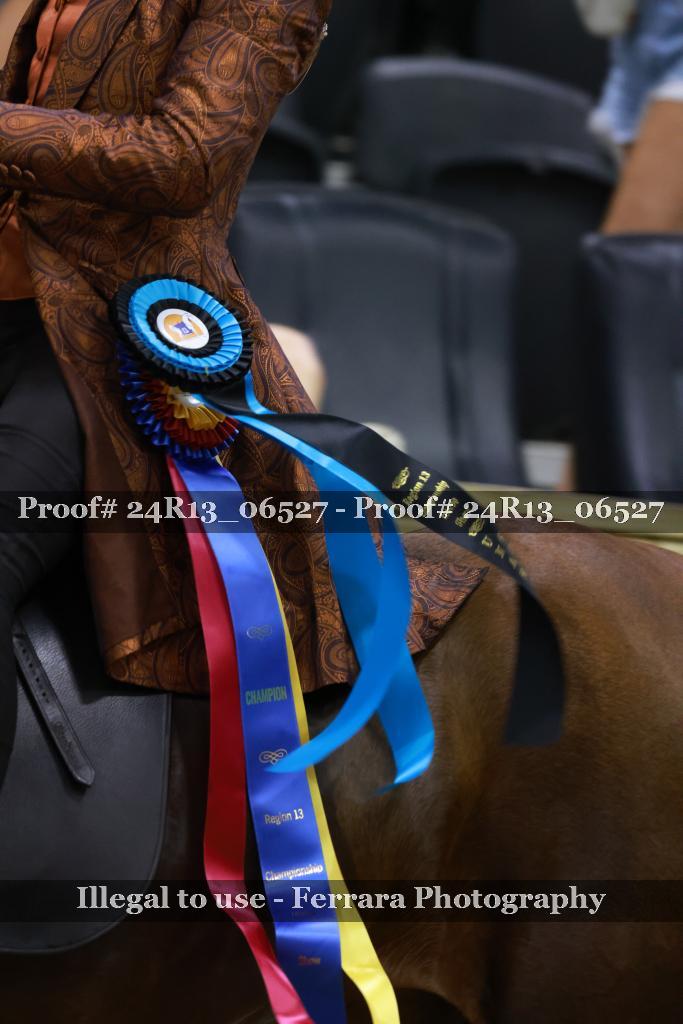 Proof Number 24R13_06527