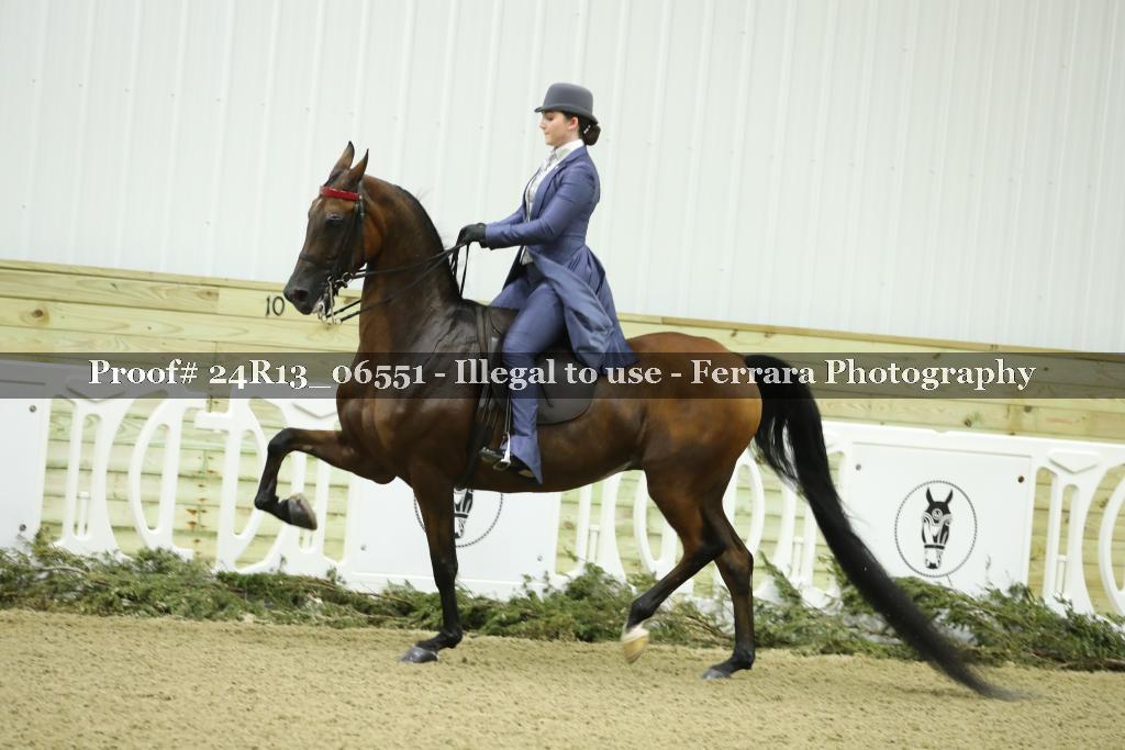 Proof Number 24R13_06551