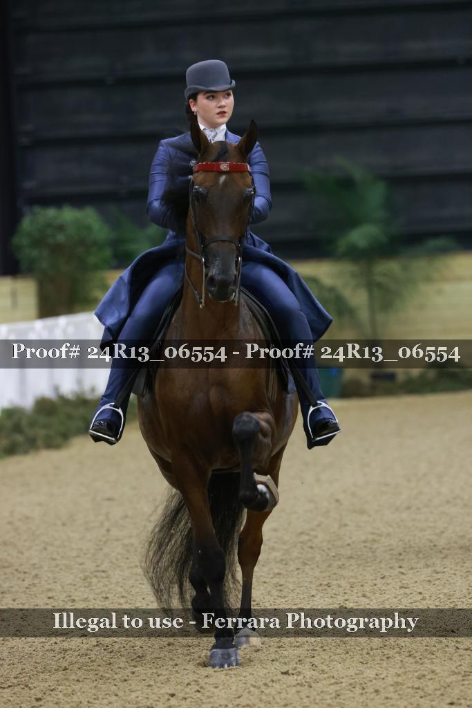 Proof Number 24R13_06554