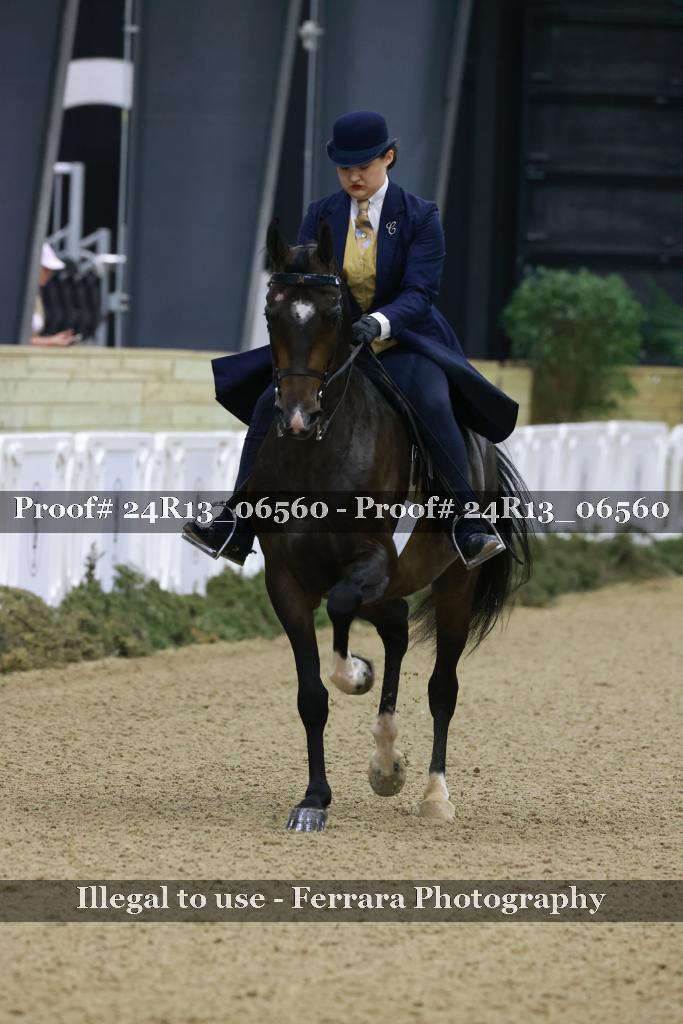 Proof Number 24R13_06560
