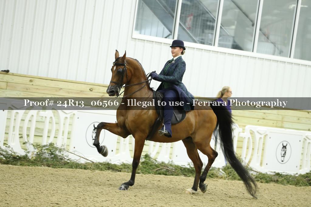 Proof Number 24R13_06566