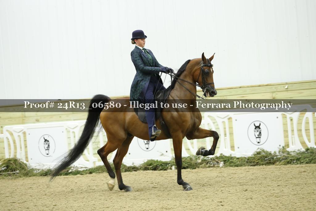 Proof Number 24R13_06580