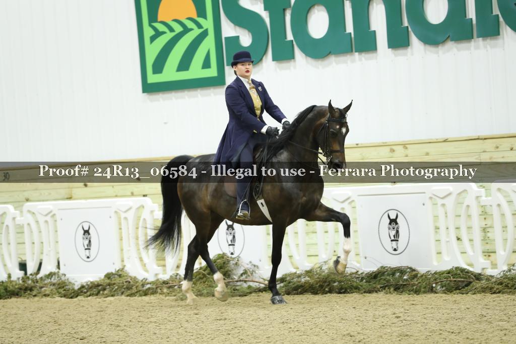 Proof Number 24R13_06584