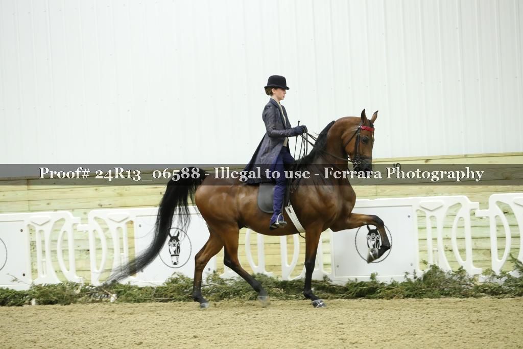 Proof Number 24R13_06588