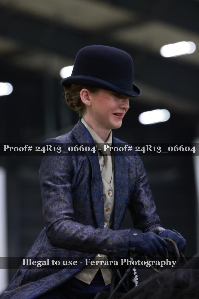 Proof Number 24R13_06604