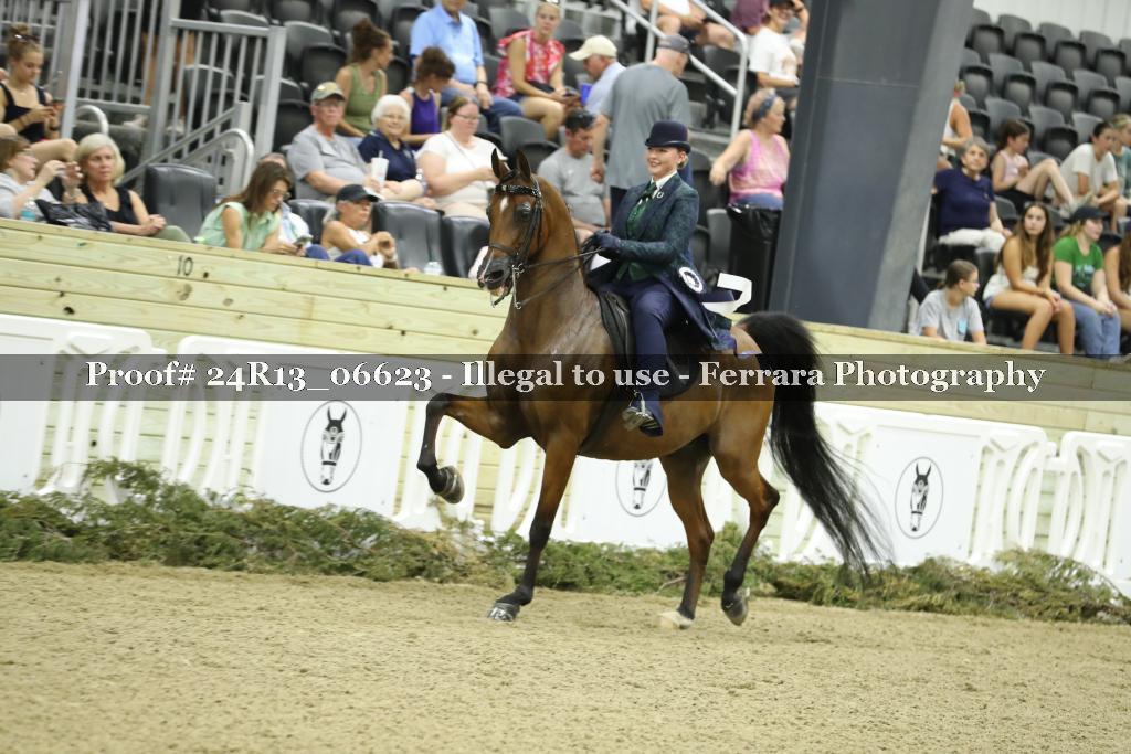 Proof Number 24R13_06623