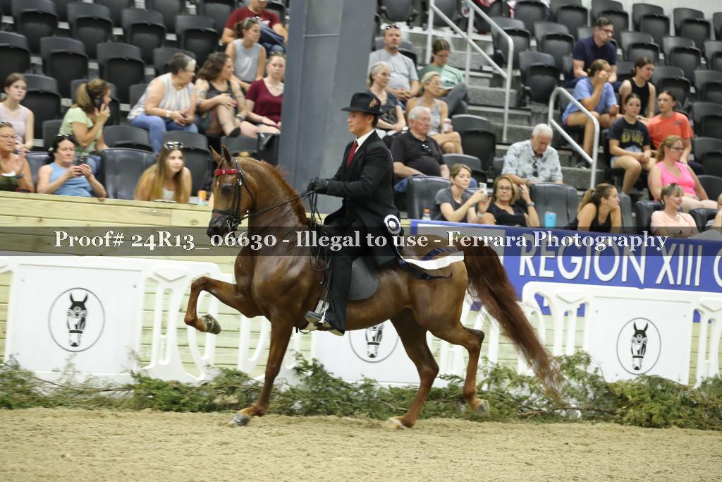 Proof Number 24R13_06630