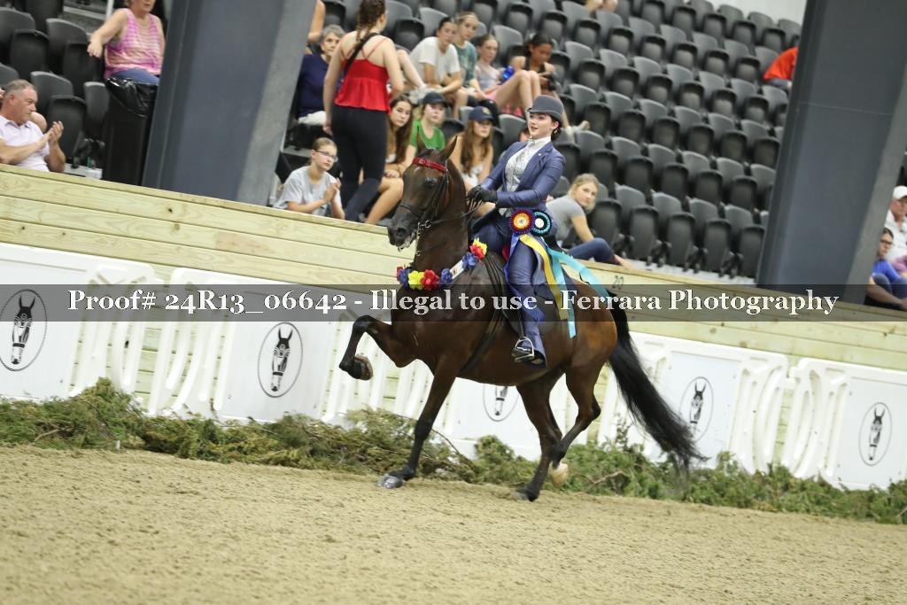 Proof Number 24R13_06642
