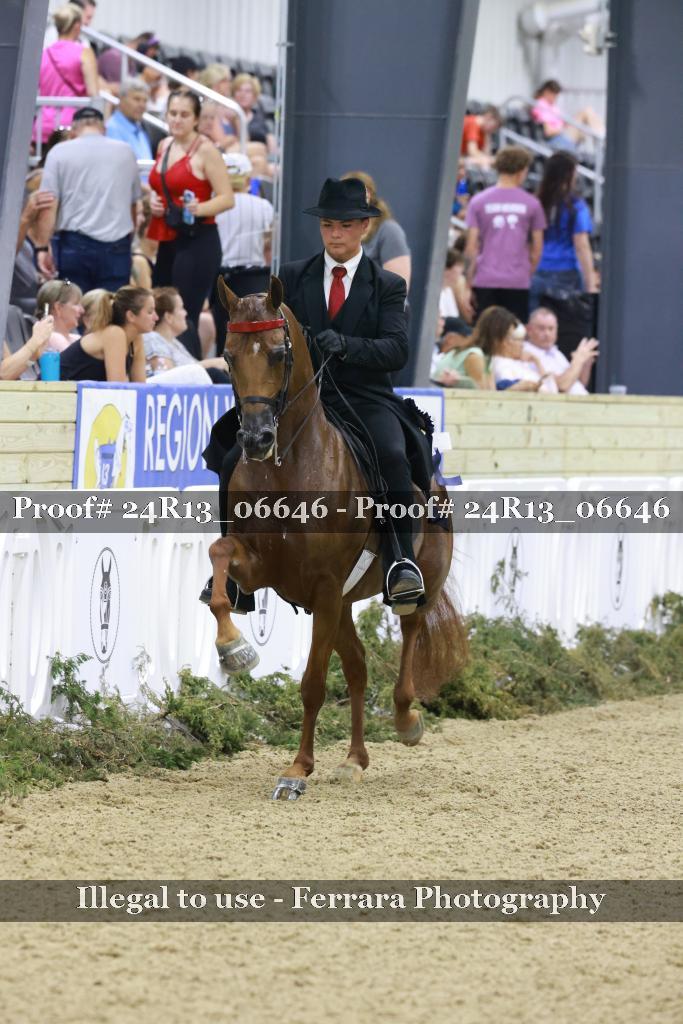 Proof Number 24R13_06646