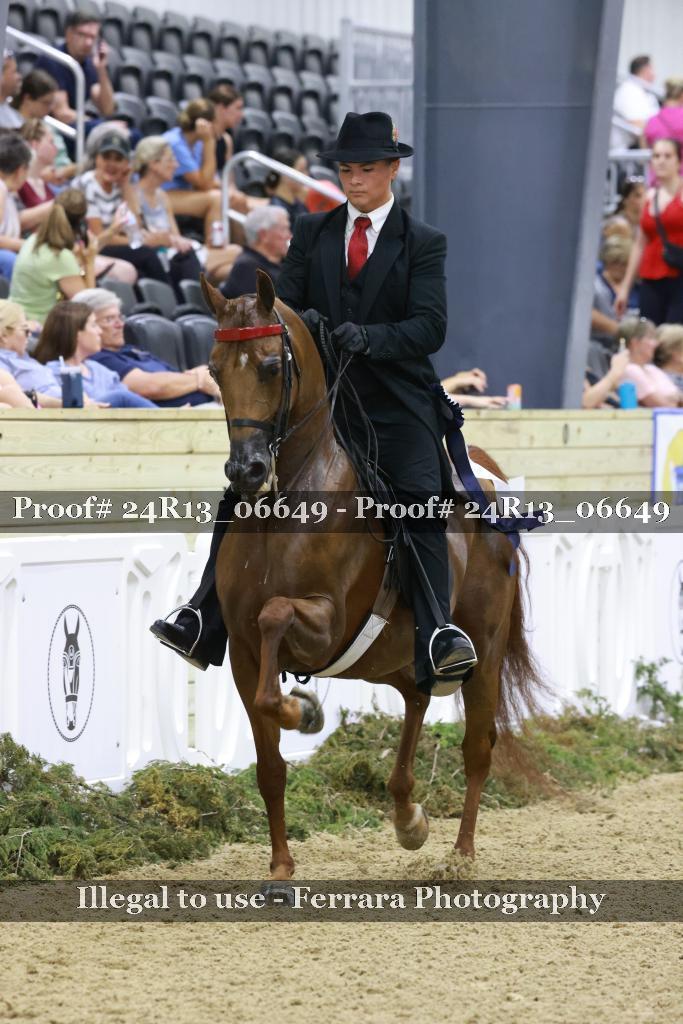 Proof Number 24R13_06649