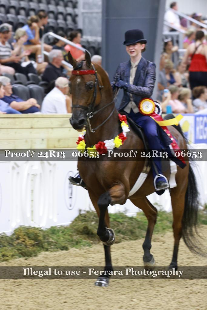Proof Number 24R13_06653
