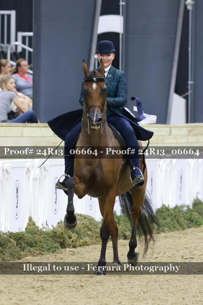 Proof Number 24R13_06664