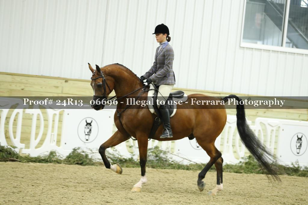 Proof Number 24R13_06696
