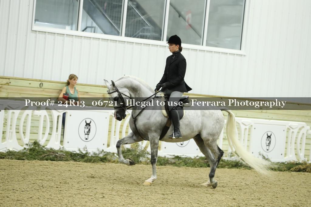 Proof Number 24R13_06721
