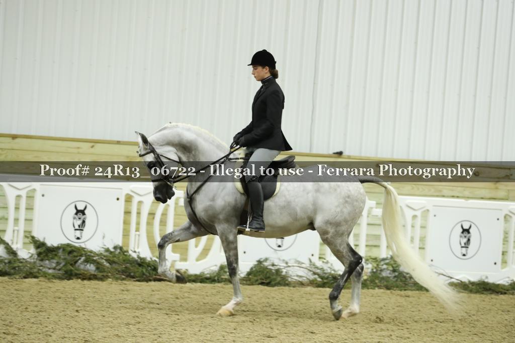 Proof Number 24R13_06722