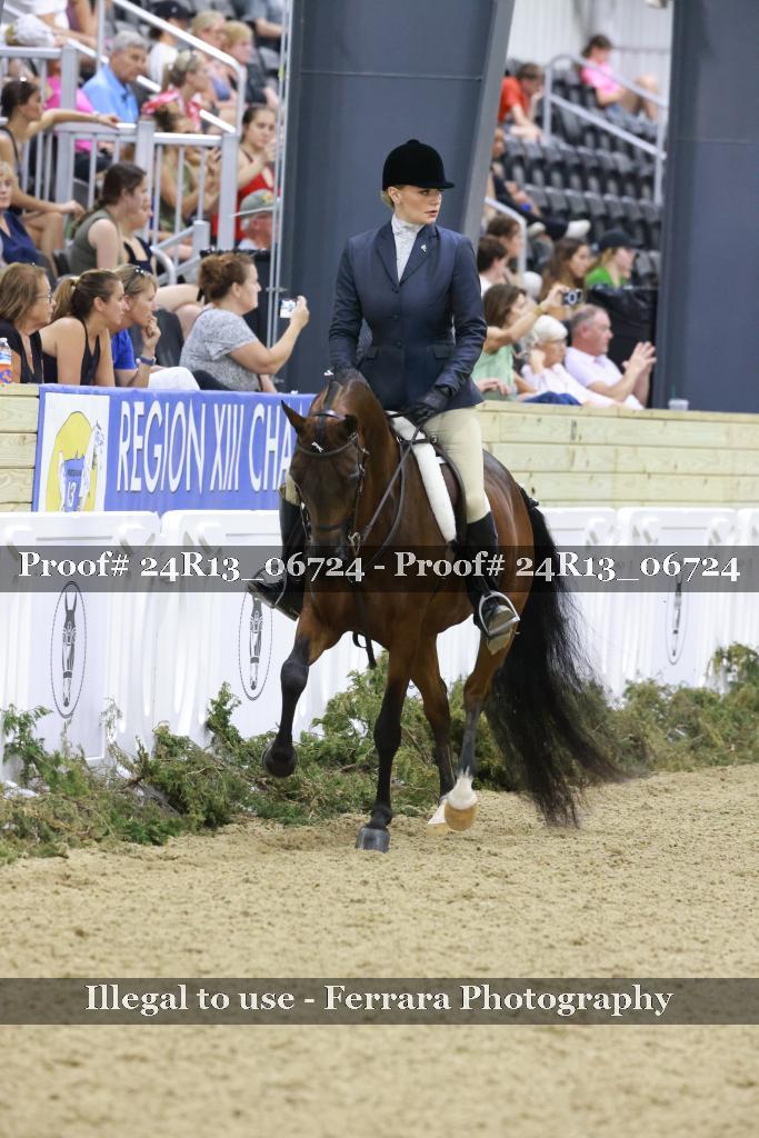 Proof Number 24R13_06724