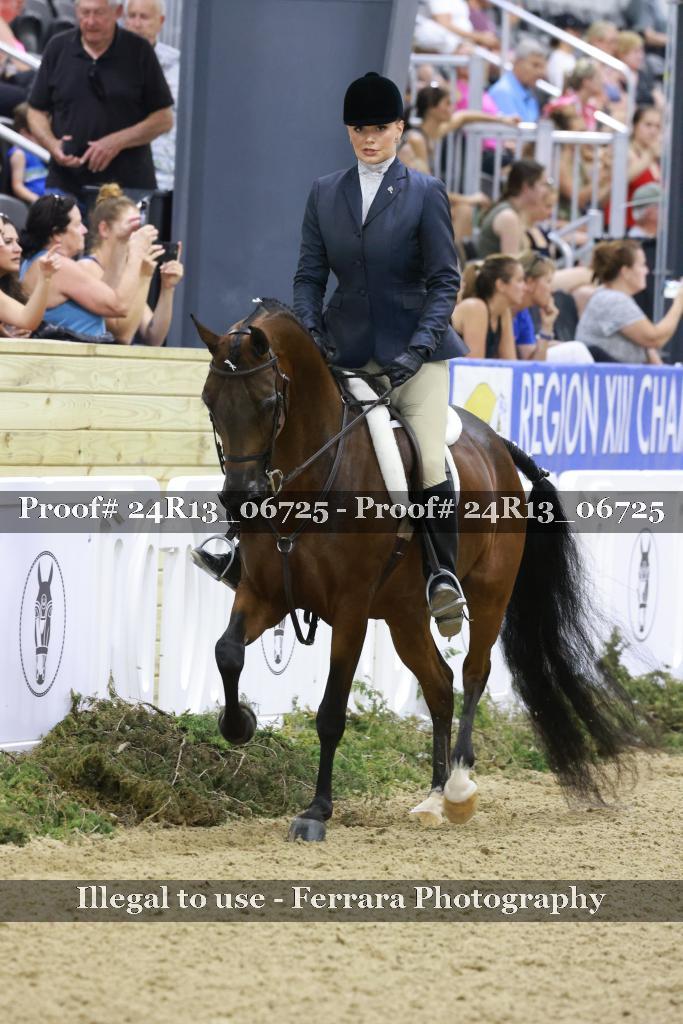 Proof Number 24R13_06725